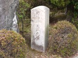 南陽村